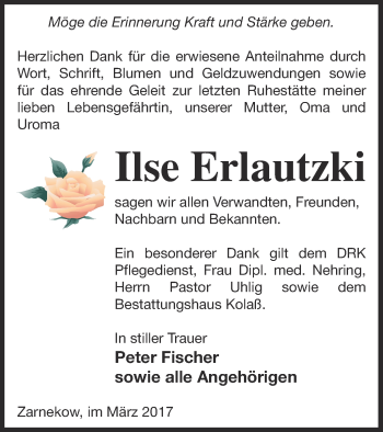 Traueranzeige von Ilse Erlautzki von Demminer Zeitung