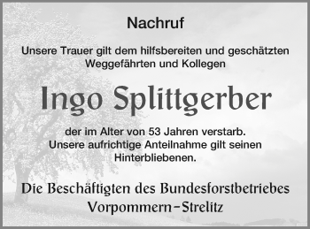 Traueranzeige von Ingo Splittgerber von Haff-Zeitung