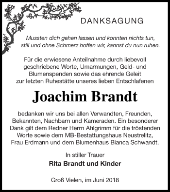 Traueranzeige von Joachim Brandt von Müritz-Zeitung