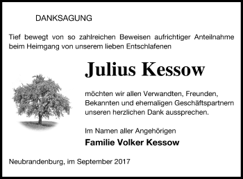 Traueranzeige von Julius Kessow von Neubrandenburger Zeitung