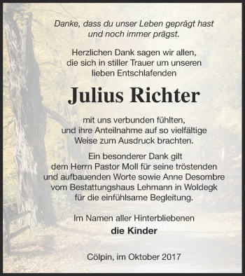 Traueranzeige von Julius Richter von Neubrandenburger Zeitung