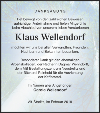 Traueranzeige von Klaus Wellendorf von Strelitzer Zeitung