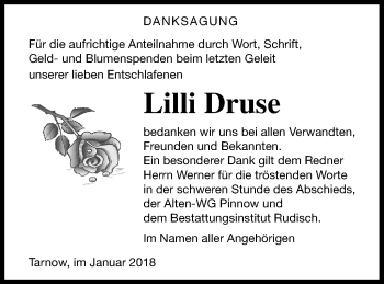 Traueranzeige von Lilli Druse von Neubrandenburger Zeitung