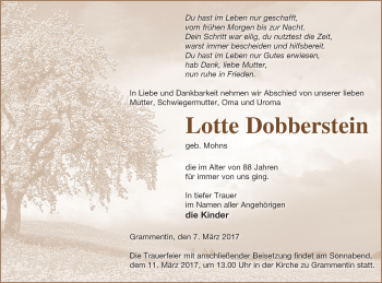 Traueranzeige von Lotte Dobberstein von Mecklenburger Schweiz