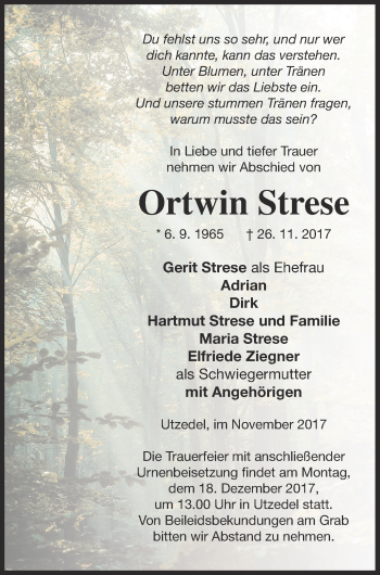 Traueranzeige von Ortwin Strese von Demminer Zeitung