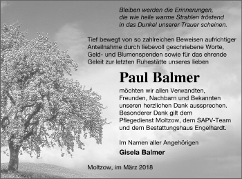 Traueranzeige von Paul Balmer von Müritz-Zeitung