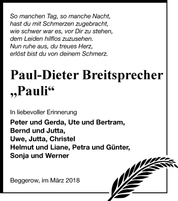 Traueranzeige von Paul-Dieter Breitsprecher von Demminer Zeitung