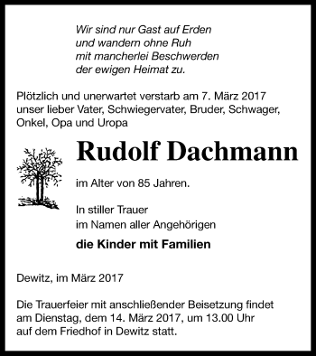 Traueranzeige von Rudolf Dachmann von Neubrandenburger Zeitung