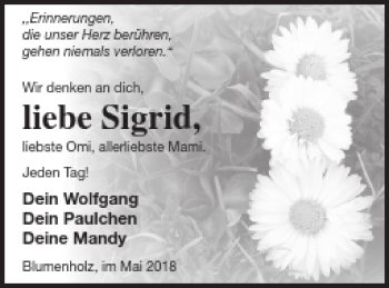 Traueranzeige von Sigrid  von Strelitzer Zeitung