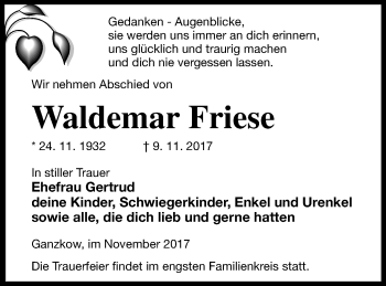 Traueranzeige von Waldemar Friese von Neubrandenburger Zeitung