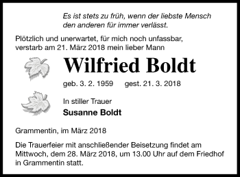 Traueranzeige von Wilfried Boldt von Mecklenburger Schweiz