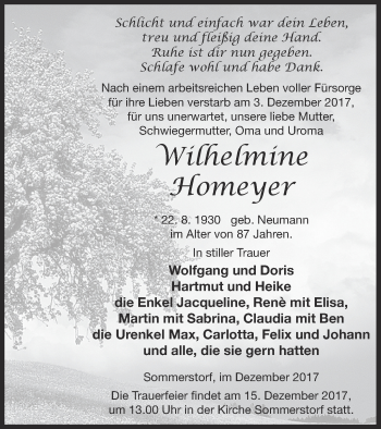 Traueranzeige von Wilhelmine Homeyer von Müritz-Zeitung