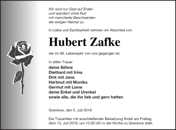 Traueranzeige von Hubert Zafke von Demminer Zeitung