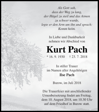 Traueranzeige von Kurt Pach von Neubrandenburger Zeitung