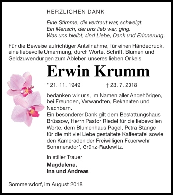 Traueranzeige von Erwin Krumm von Pasewalker Zeitung