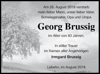 Traueranzeige von Georg Brussig von Pasewalker Zeitung