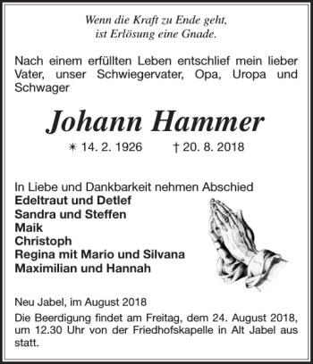 Traueranzeige von Johann Hammer von Ludwigsluster Tageblatt