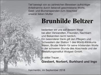 Traueranzeige von Brunhilde Beltzer von Müritz-Zeitung