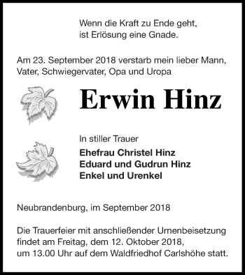 Traueranzeige von Erwin Hinz von Neubrandenburger Zeitung