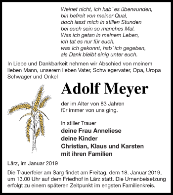 Traueranzeige von Adolf Meyer von Müritz-Zeitung