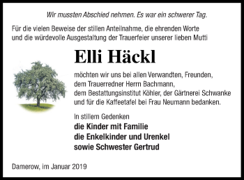 Traueranzeige von Elli Häckl von Pasewalker Zeitung