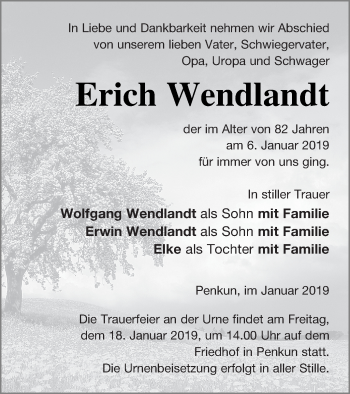 Traueranzeige von Erich Wendlandt von Pasewalker Zeitung