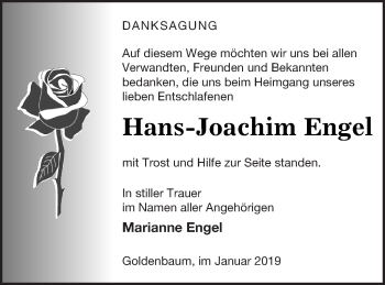 Traueranzeige von Hans-Joachim Engel von Strelitzer Zeitung