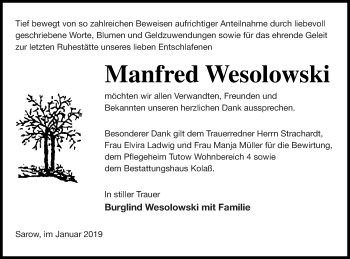 Traueranzeige von Manfred Wesolowski von Demminer Zeitung