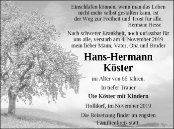 Traueranzeige von Hans-Hermann Köster von Neubrandenburger Zeitung