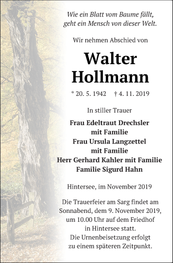 Traueranzeige von Walter Hollmann von Haff-Zeitung