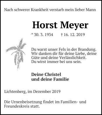 Traueranzeige von Horst Meyer von Strelitzer Zeitung