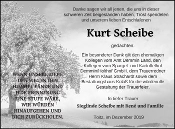 Traueranzeige von Kurt Scheibe von Demminer Zeitung