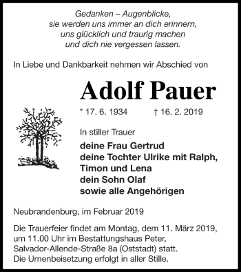Traueranzeige von Adolf Pauer von Neubrandenburger Zeitung
