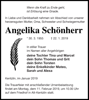 Traueranzeige von Angelika Schönherr von Demminer Zeitung