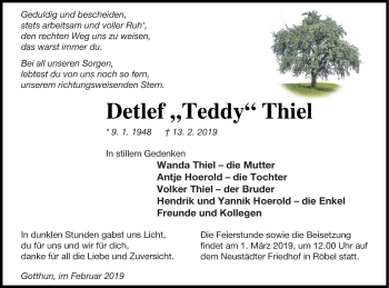 Traueranzeige von Detlef Thiel von Müritz-Zeitung