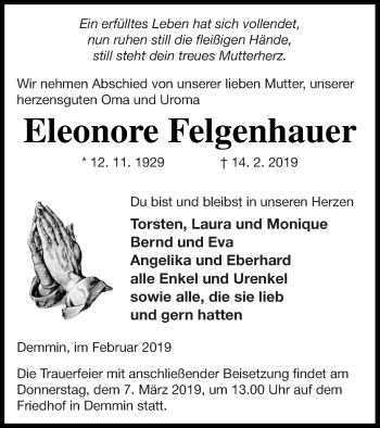 Traueranzeige von Eleonore Felgenhauer von Demminer Zeitung