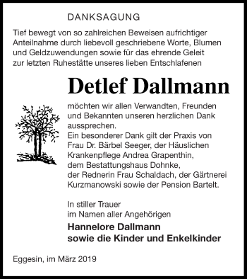 Traueranzeige von Detlef Dallmann von Haff-Zeitung
