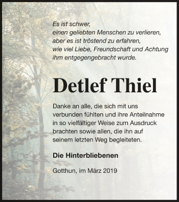 Traueranzeige von Detlef Thiel von Müritz-Zeitung