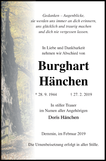 Traueranzeige von Doris Hänchen von Demminer Zeitung