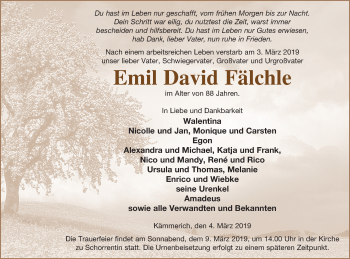 Traueranzeige von Emil David Fälchle von Mecklenburger Schweiz