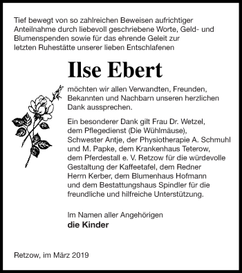 Traueranzeige von Ilse Ebert von Mecklenburger Schweiz