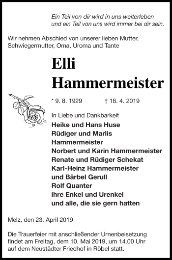 Traueranzeige von Elli Hammermeister von Müritz-Zeitung