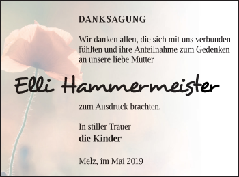 Traueranzeige von Elli Hammermeister von Müritz-Zeitung