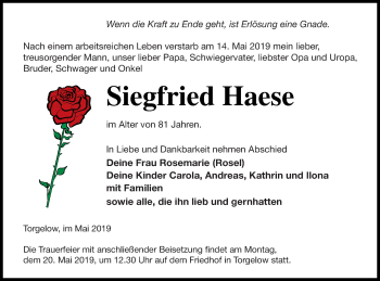 Traueranzeige von Siegfried Haese von Haff-Zeitung