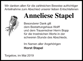 Traueranzeige von Anneliese Stapel von Haff-Zeitung