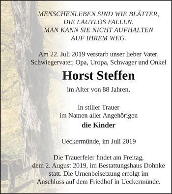 Traueranzeige von Horst Steffen von Haff-Zeitung