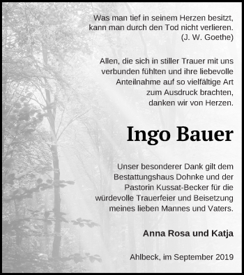 Traueranzeige von Ingo Bauer von Haff-Zeitung