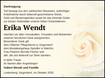 Traueranzeige von Erika Wendt von Demminer Zeitung