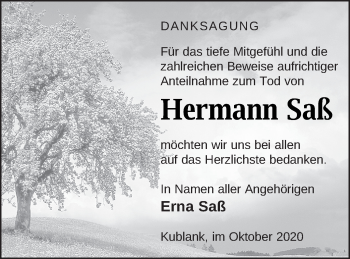 Traueranzeige von Hermann Saß von Strelitzer Zeitung