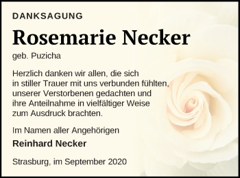 Traueranzeige von Rosemarie Necker von Pasewalker Zeitung